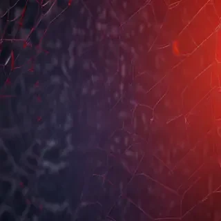 spider background