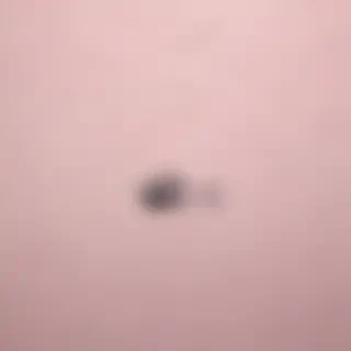 wallpaper iphone