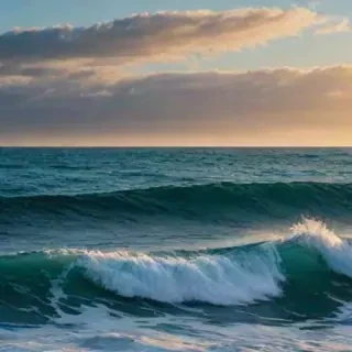 ocean wallaper