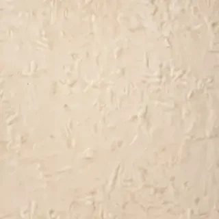 backgrounds cream