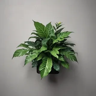 plant phone wallpaper