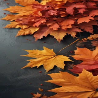 fall wallpaper for iphone