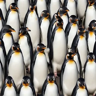 penguins background