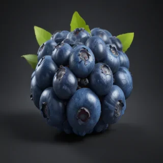 blueberry png
