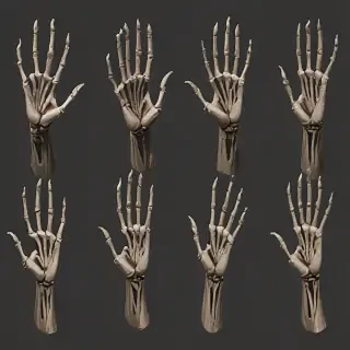 skeleton hands png