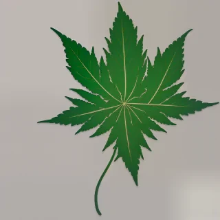 weed leaf png