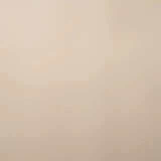 neutral background