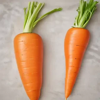 carrot png
