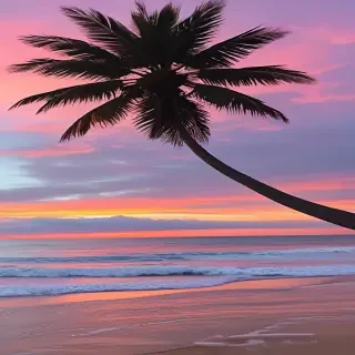 aesthetic beach pics