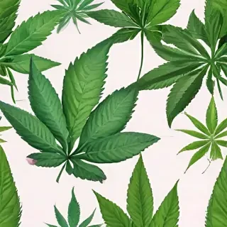 weed leaf png