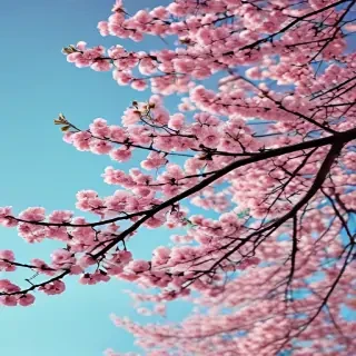 springtime iphone wallpaper