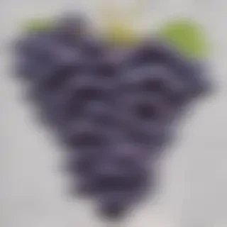 grape png