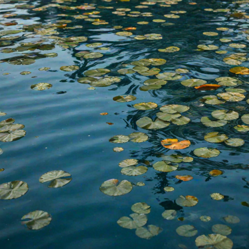 water reflection png