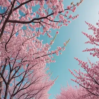 aesthetic spring wallpapers