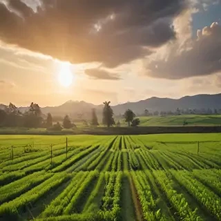 farmland png