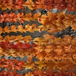 fall leaves aesthetic