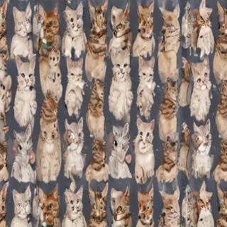 cats backgrounds