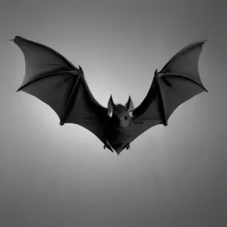 halloween bats png