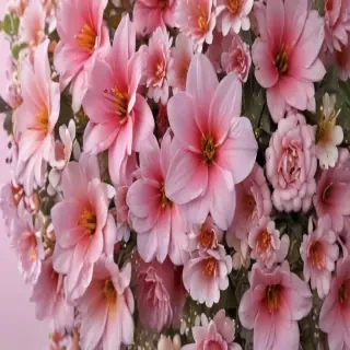 flower background for phone
