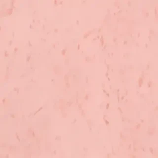 light peach background
