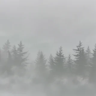 fog transparent background