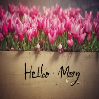 hello may images