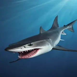 shark background