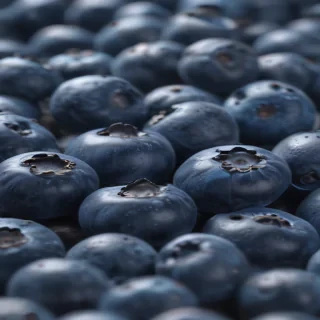 blueberry png