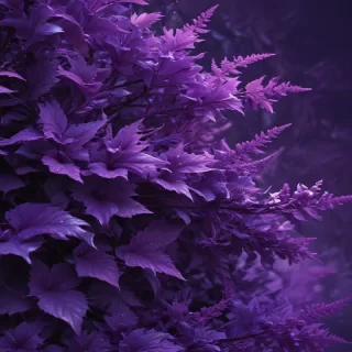 aesthetic purple backgrounds
