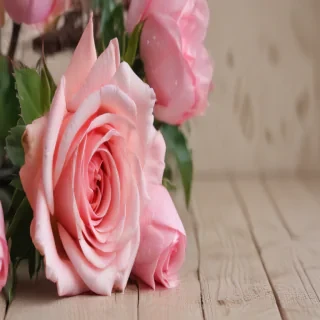 mothers day wallpaper