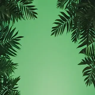 green aesthetic background