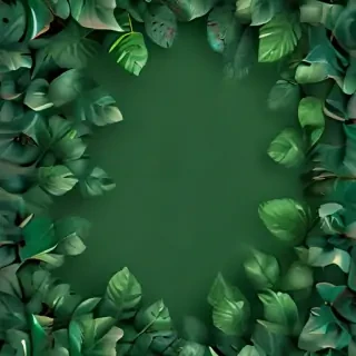 green background wallpaper aesthetic