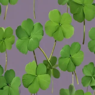clover png