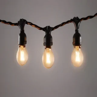 string light png
