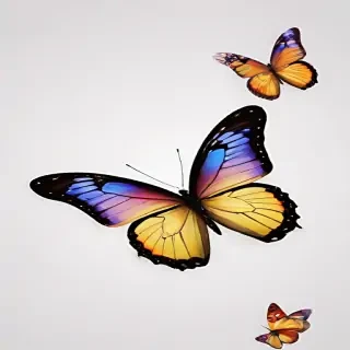 butterfly clipart transparent background