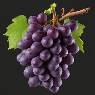 grape png