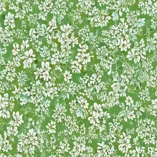green and white backgrounds