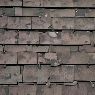 shingles images