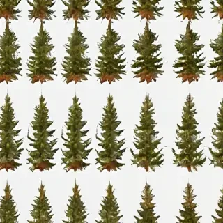 christmas trees transparent background