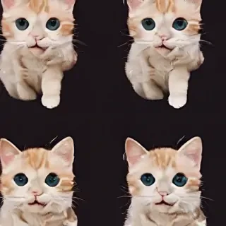 cats wallpaper aesthetic