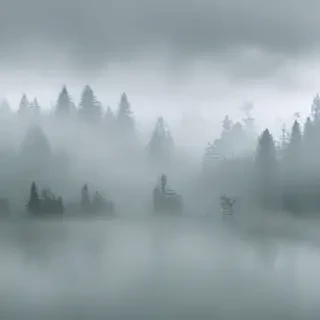 foggy background