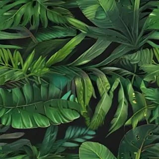 tropical leaf png