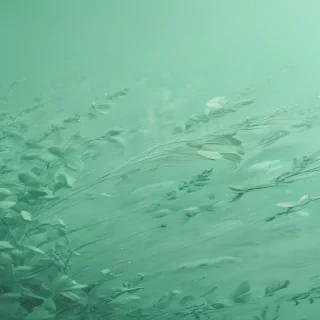 mint green background