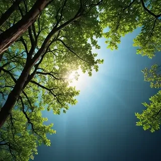 nature iphone wallpaper