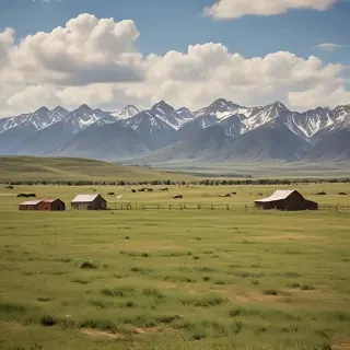 ranch background