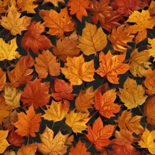 png fall leaves