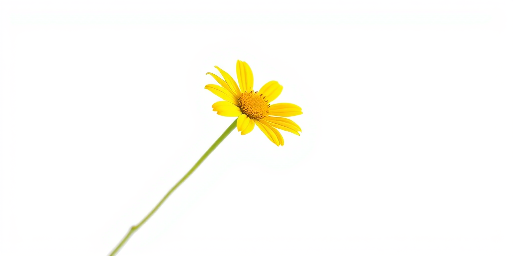 a single yellow flower with a long stem on a clean white background, captured with a DSLR camera using a 50mm lens, aperture f/2.8 for shallow depth of field, ISO 100, soft natural lighting to enhance colors and details