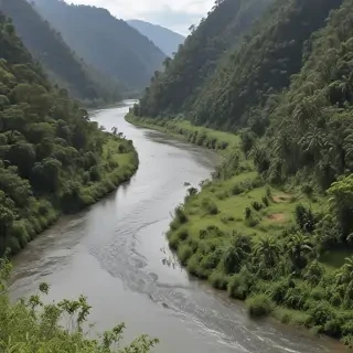 png river