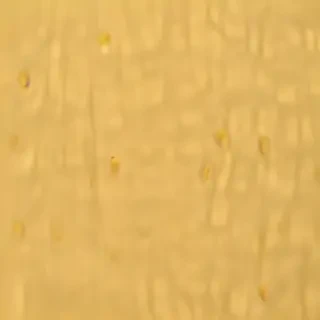 yellow background aesthetic