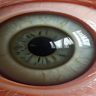eyeball png